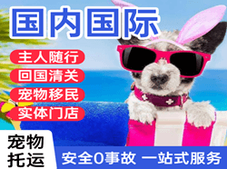 沈阳桃仙航空快递国际宠物托运 【国